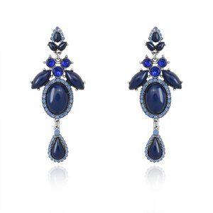Gorgeous Lapis Lazuli Long Earrings